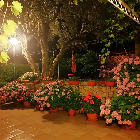 Ana Apartment Broce